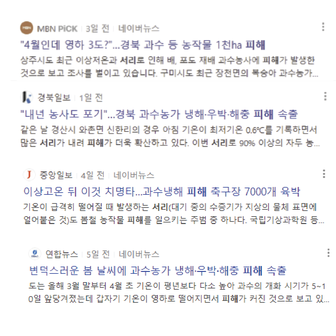 서리대지 4.png