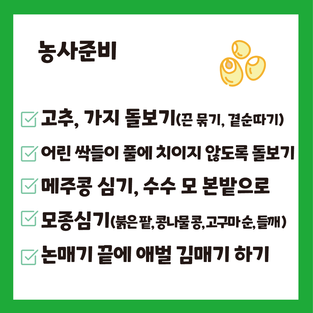 망종대지 2.png