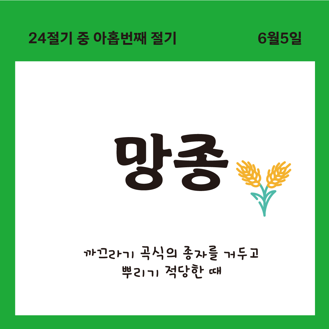 망종대지 1.png