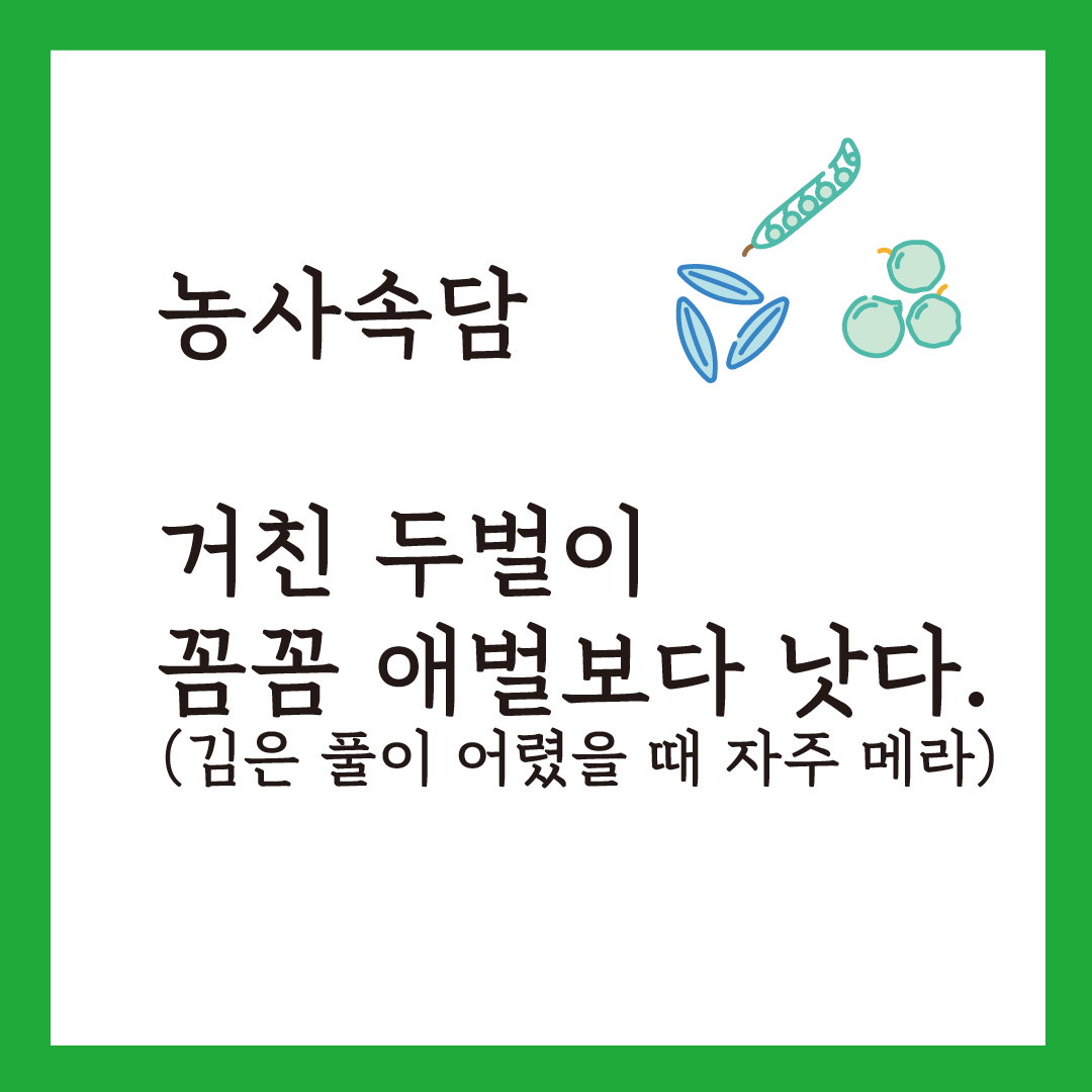 망종대지 4.png