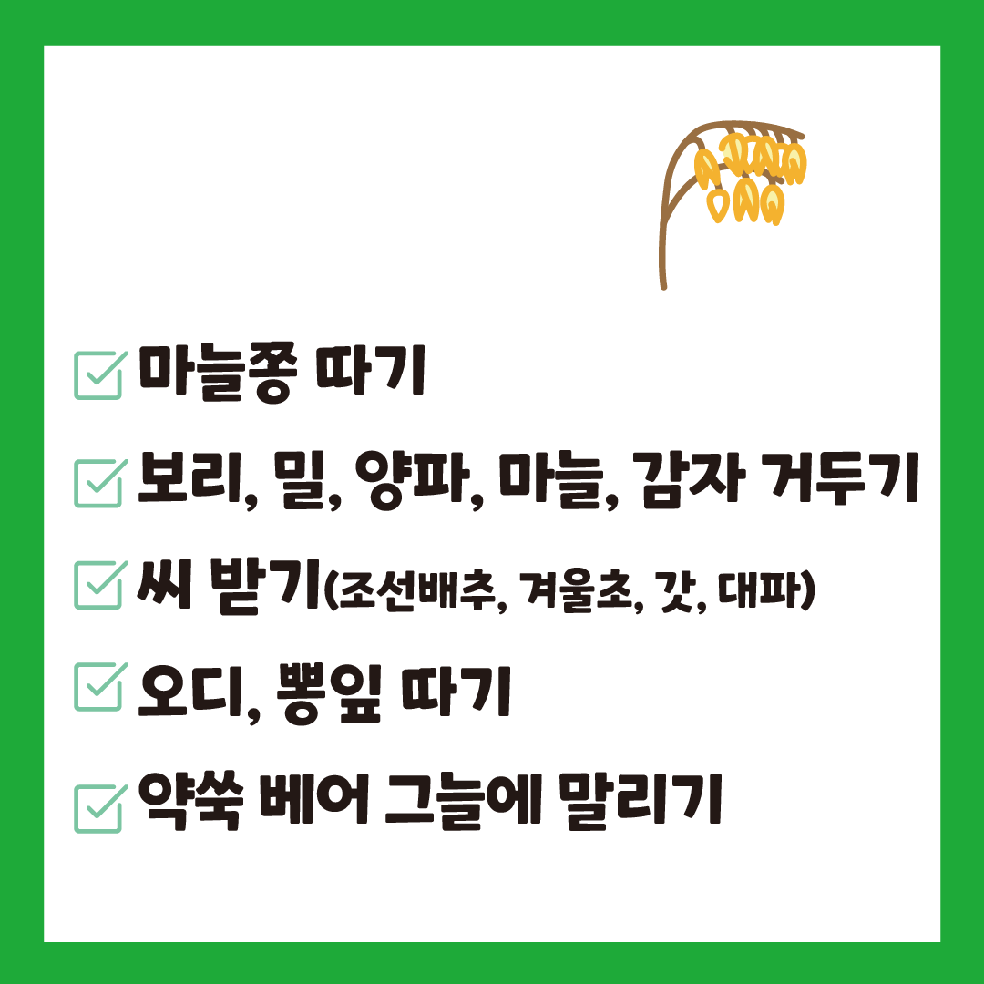 망종대지 3.png