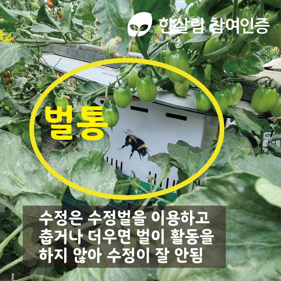 일타매장_청주대지 3.png