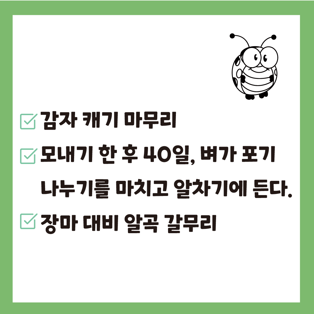 소서대지 3.png