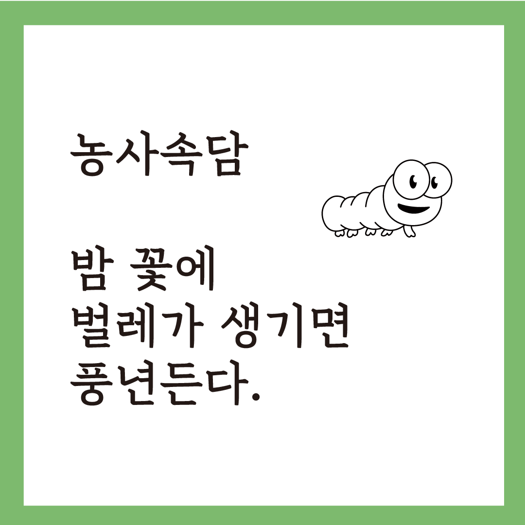 소서대지 4.png