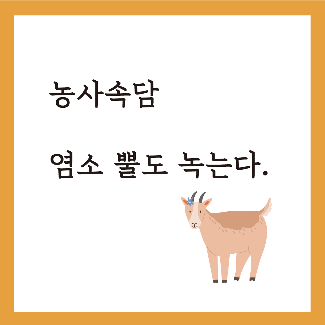 대서대지 4.png