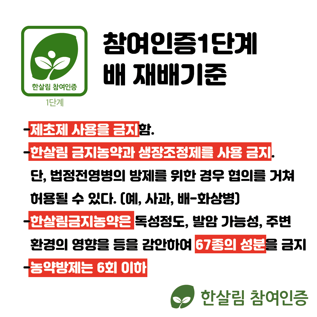 일타매장대지 3.png