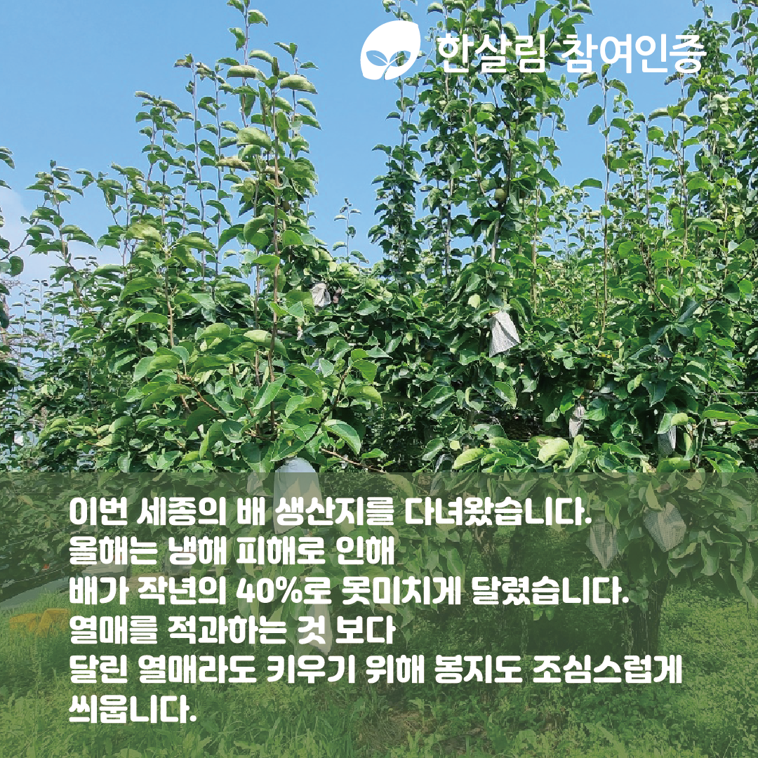 일타매장대지 4.png