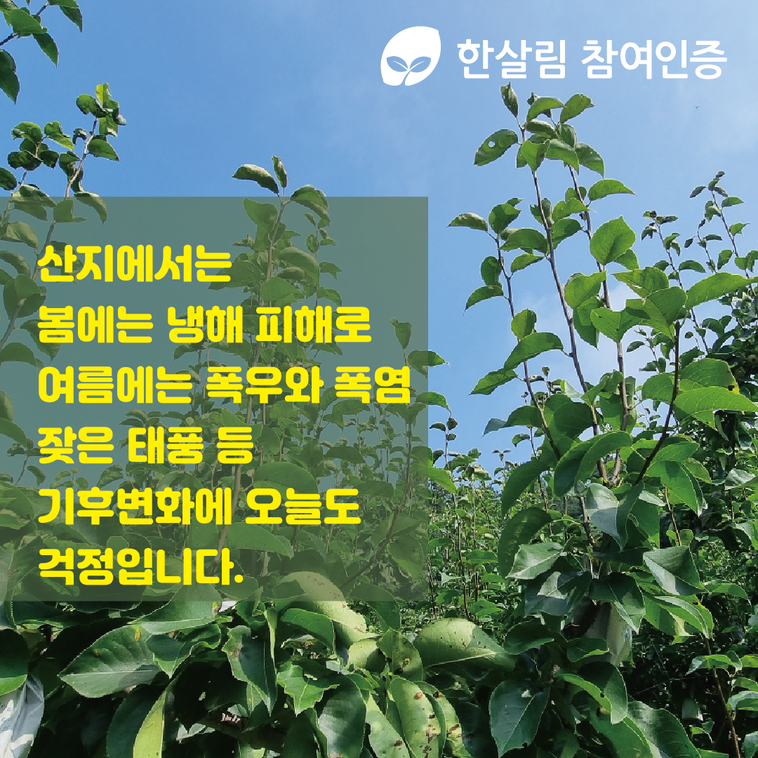 일타매장대지 6.png