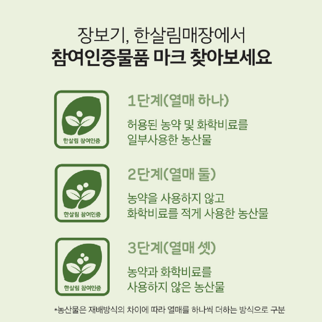 서울대지 3.png