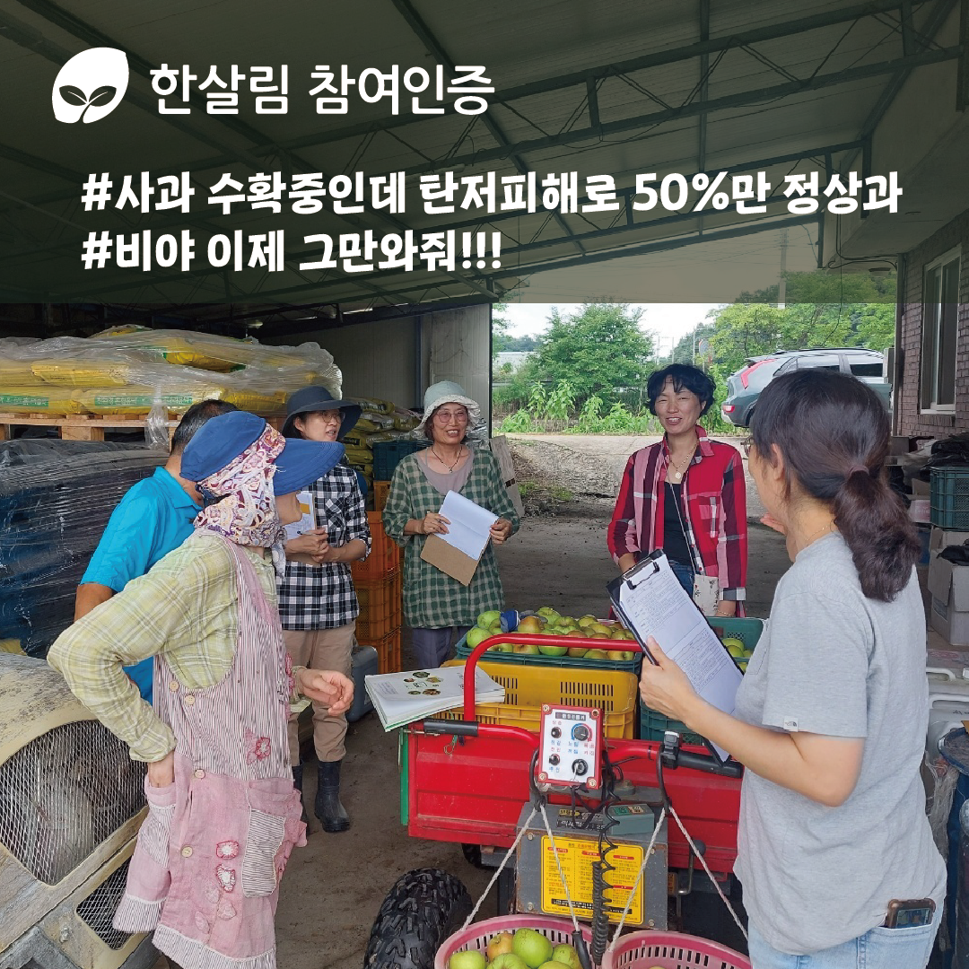 햇살아래대지 6.png