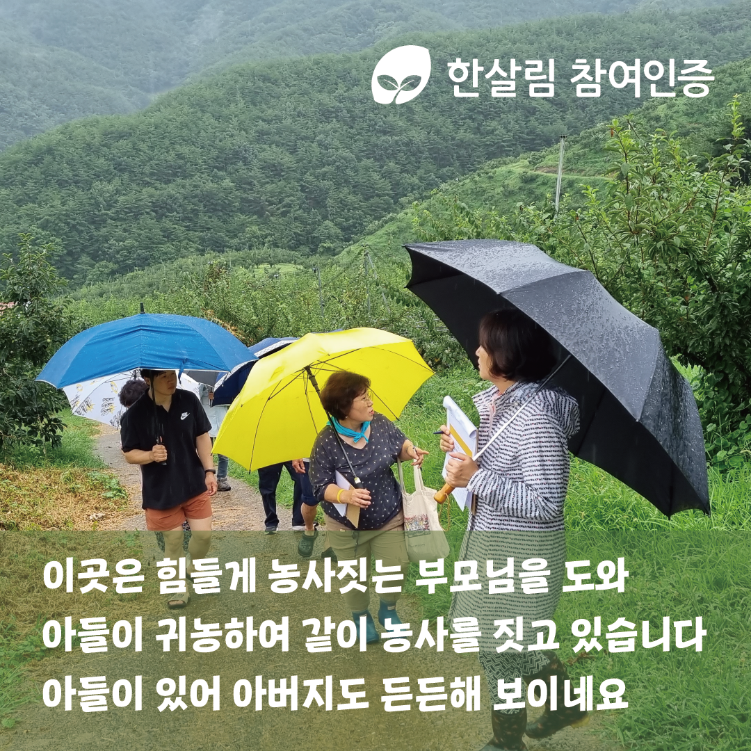 해가림대지 4.png