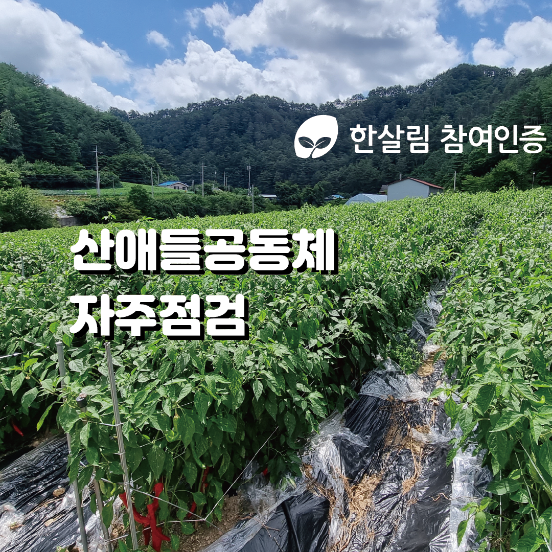 산애들대지 1.png