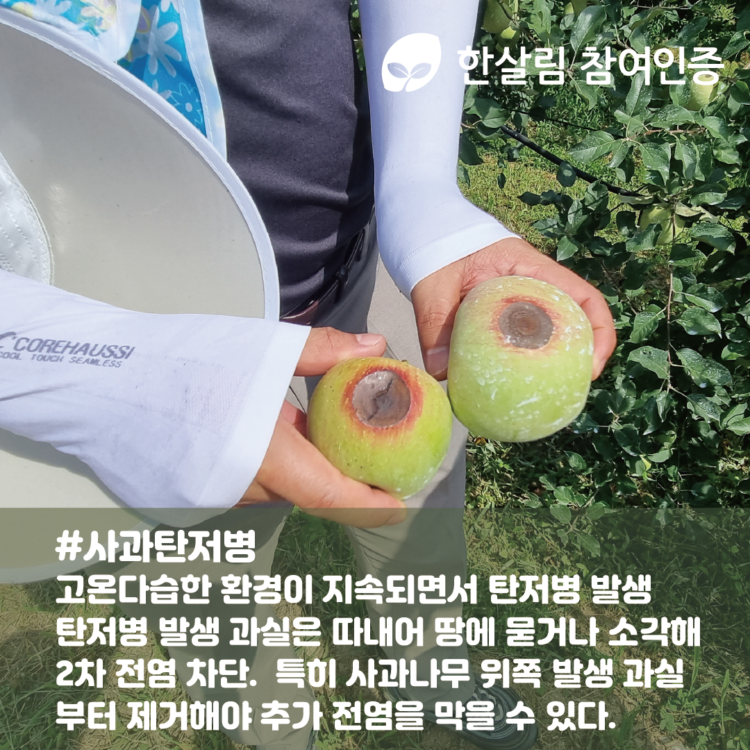 산애들대지 6.png