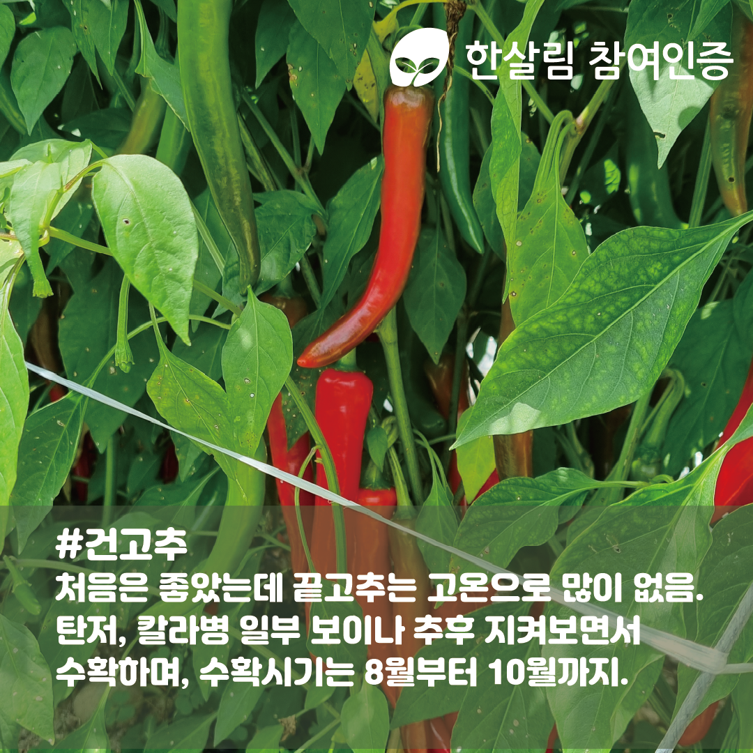 산애들대지 7.png