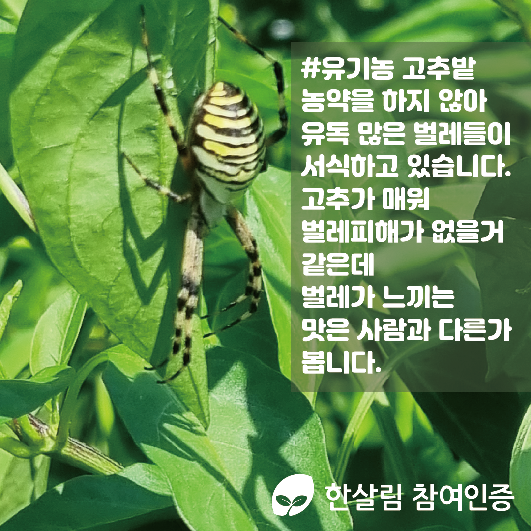 산애들대지 5.png