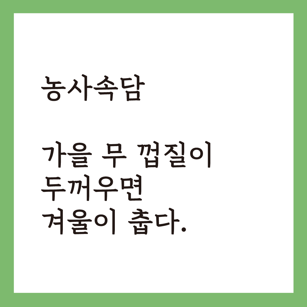 소설대지 4.png