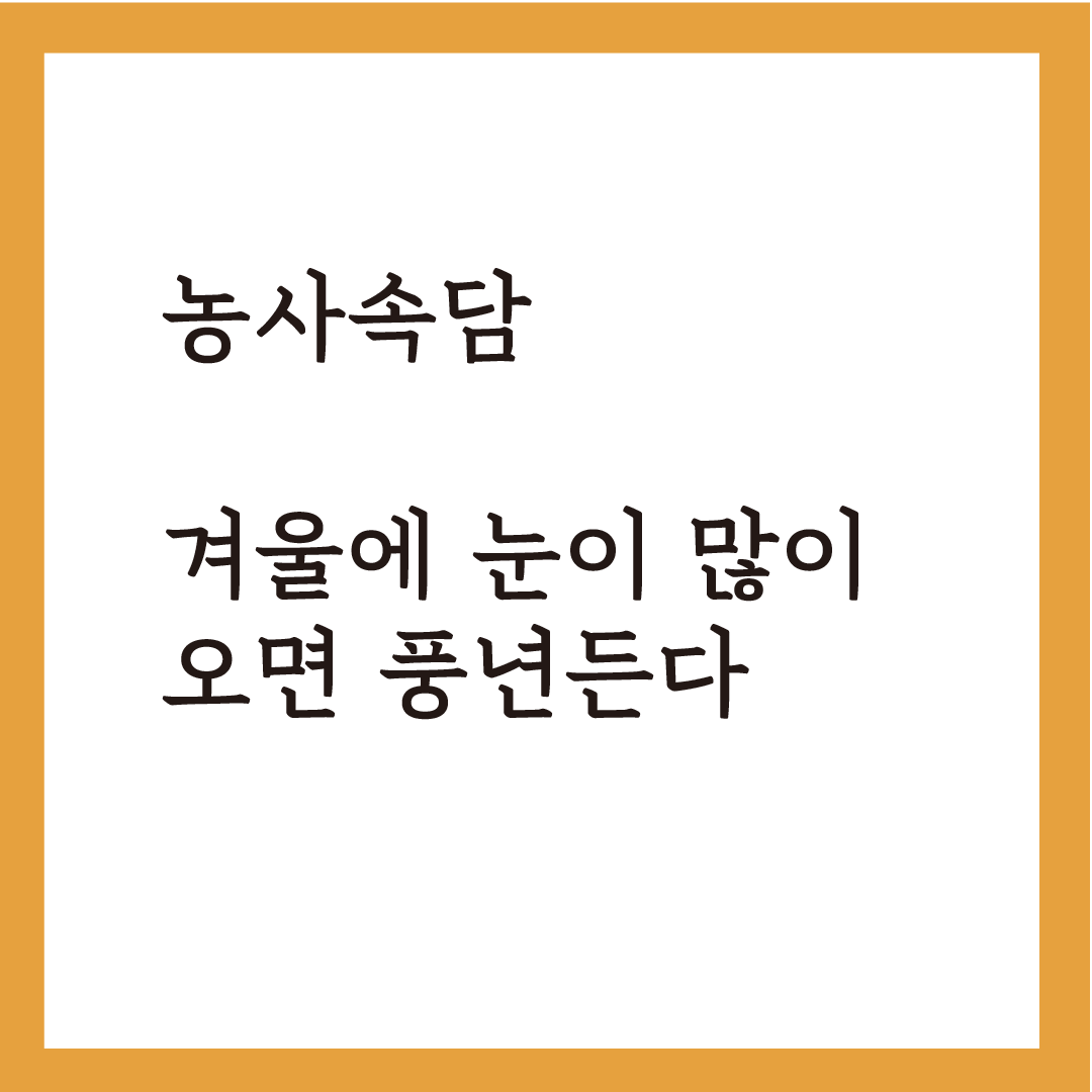 대설대지 4.png